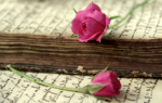 old love letter with roses