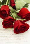 roses
