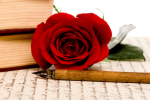 Rose Letter