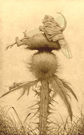 Thistledown by Edward Binkley