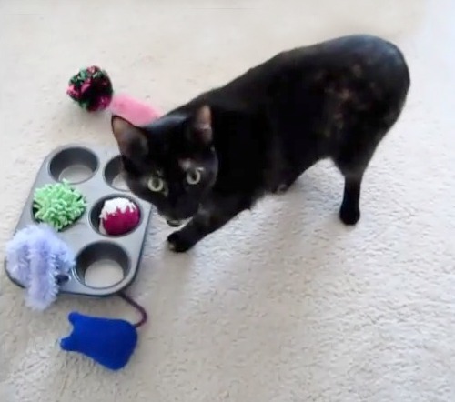 muffin-tin-game