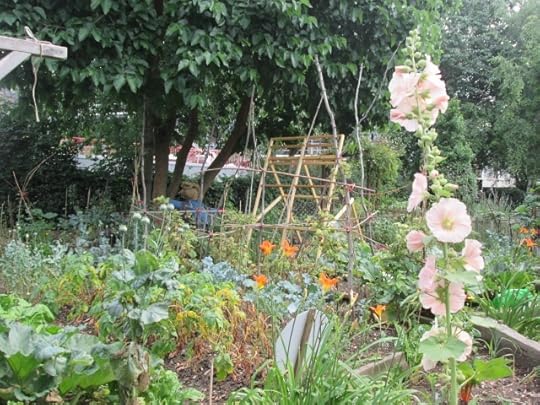 The garden with vegetables and flowers 
