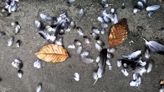 Photo: Nobody knows when it happened? Vikram Roy © Copyright 2015