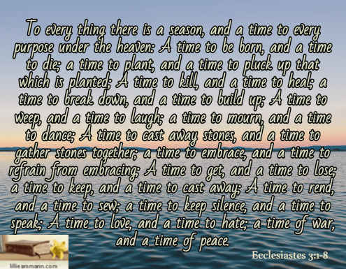 ecclesiastes3-1-8