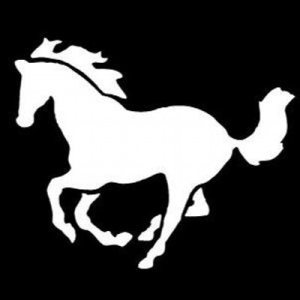Pony