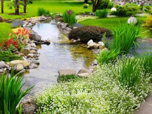 Like a gentle stream, mindfulness and contemplative prayer both seek clarity. Yet only prayer seeks the face of God.