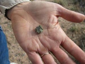 I found a few bits of trinitite at the site, but it's illegal to remove them. You may buy pieces collected earlier and now in the hands of collectors.