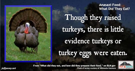 http://www.blm.gov/co/st/en/fo/ahc/who_were_the_anasazi.html#eat Wild Turkey. 