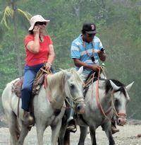 horse and cell phone