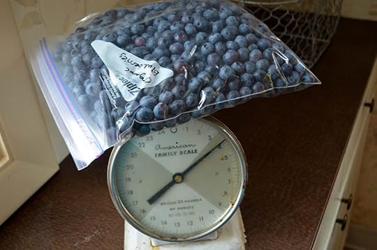 blueberries-gallon