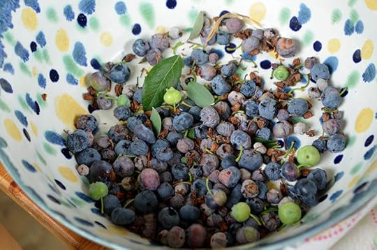 blueberries-discard