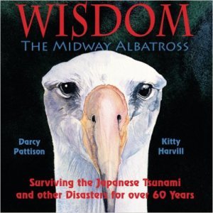Wisdom the Midway Albatross