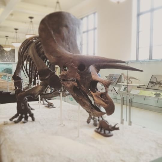 Triceratops