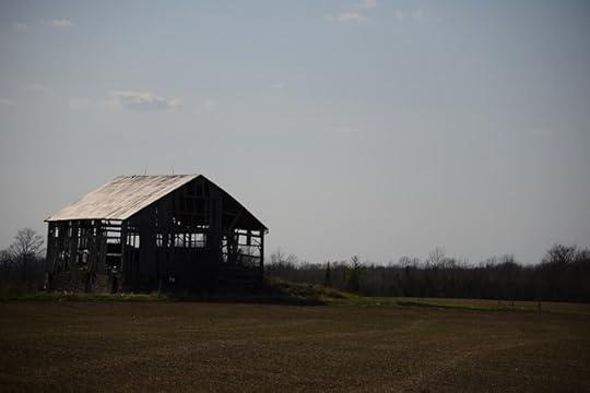 DSC_9219