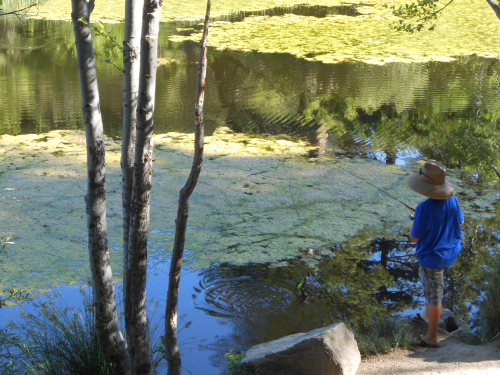 lake fulmor boy fishing
