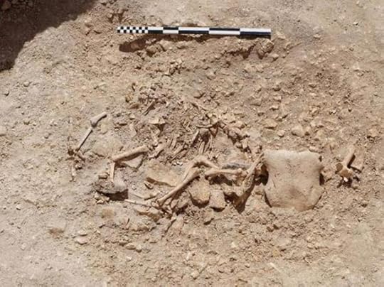 A sheep with its own head that was fragmentary plus the head of a bull on its rear end has been excavated along with other animal combinations at a farm in Dorset, England.