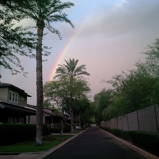 A rainbow in the desert