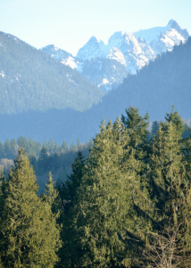 North Cascades