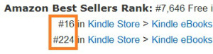 Amazon category ranking 2