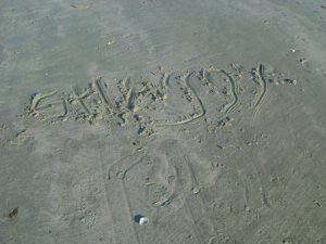 Shaggy signed her name in the sand. 