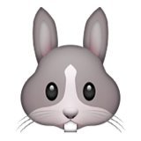 160x160x197-rabbit-face.png.pagespeed.ic.o2lghOjFsr