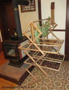 drying rack with herbs and seeds-BLOG