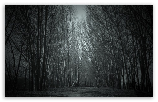 Haunted Forest HD wallpaper for Standard 4:3 5:4 Fullscreen UXGA XGA SVGA QSXGA SXGA ; Wide 16:10 5:3 Widescreen WHXGA WQXGA WUXGA WXGA WGA ; HD 16:9 High Definition WQHD QWXGA 1080p 900p 720p QHD nHD ; Other 3:2 DVGA HVGA HQVGA devices ( Apple PowerBook G4 iPhone 4 3G 3GS iPod Touch ) ; Mobile VGA WVGA iPhone iPad PSP Phone - VGA QVGA Smartphone ( PocketPC GPS iPod Zune BlackBerry HTC Samsung LG Nokia Eten Asus ) WVGA WQVGA Smartphone ( HTC Samsung Sony Ericsson LG Vertu MIO ) HVGA Smartphone ( Apple iPhone iPod BlackBerry HTC Samsung Nokia ) Sony PSP Zune HD Zen ; Tablet 2 Android 3 DVGA HVGA HQVGA devices ( Apple PowerBook G4 iPhone 4 3G 3GS iPod Touch ) ; Dual 4:3 5:4 16:10 5:3 16:9 UXGA XGA SVGA QSXGA SXGA WHXGA WQXGA WUXGA WXGA WGA WQHD QWXGA 1080p 900p 720p QHD nHD ;