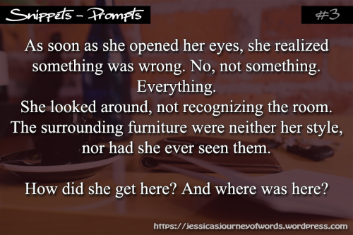 Snippet3