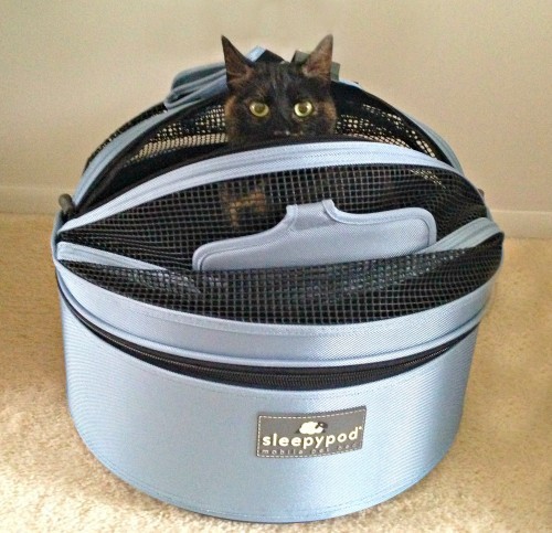 Sleepypod-review