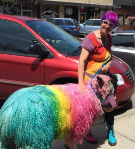 LucyRainbowSheep