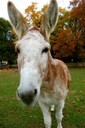 Roger is a charmer.
