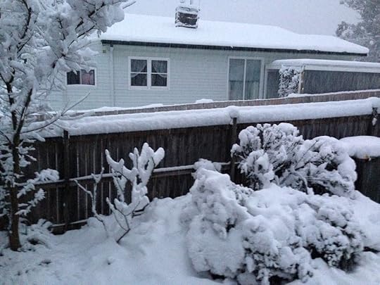 Poor rose under all that