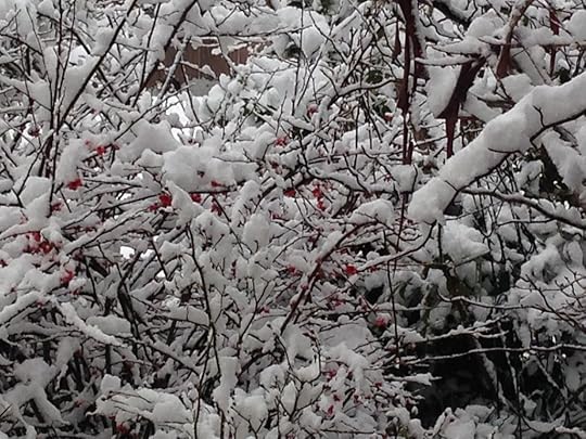 Red petals through the snow