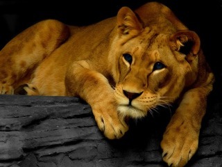  photo image.jpg1_zpsbqlpwctq.jpg