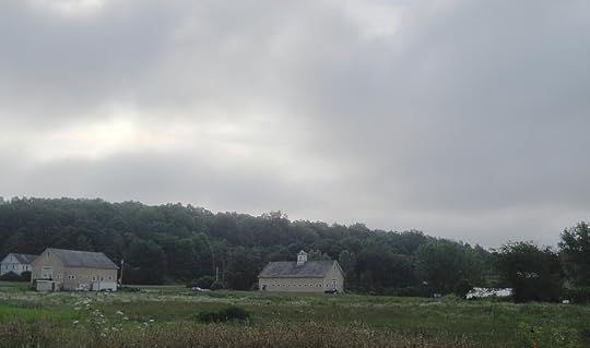 cloud gauze