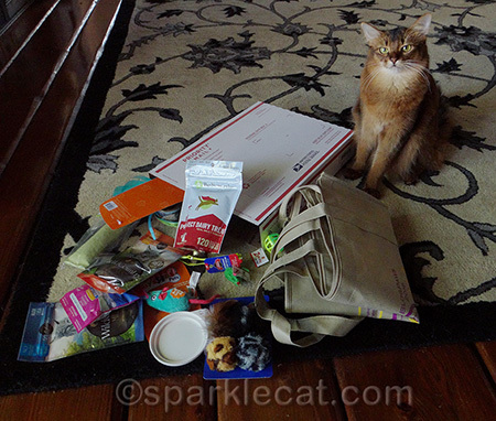 Yes, it all fit in the box!