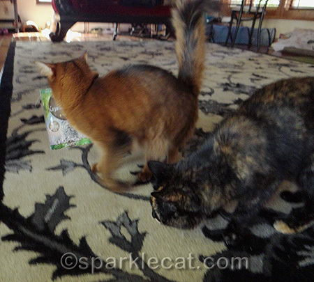 No sharing!