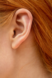 human_ear