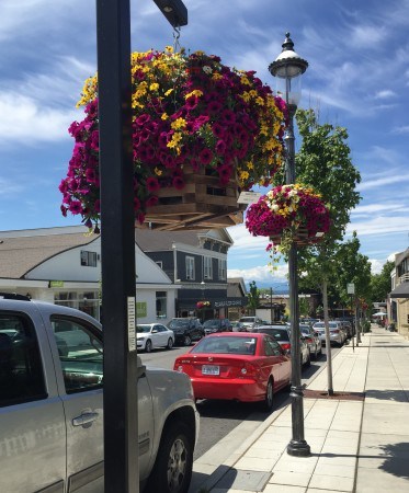 hanging baskets