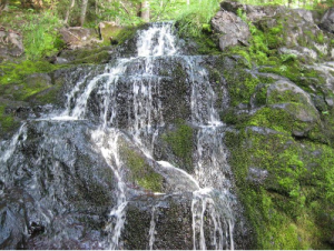 Trickle water