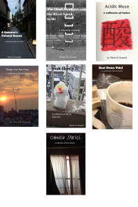 blog post book cvrs