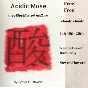 acidic muse promo 3