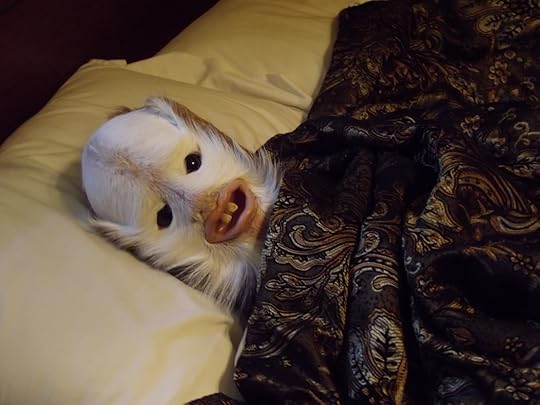 Houston commercial photography