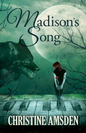 MediaKit_BookCover_MadisonsSong