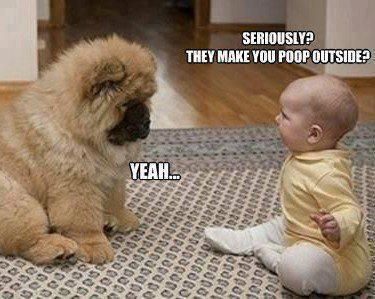 funny dog pictures with captions | Baby to puppy they make you poop outside Funny dog photo with captions