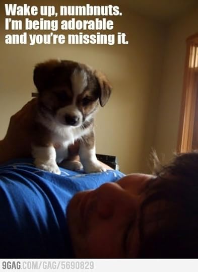 Nap time?! Wake up!