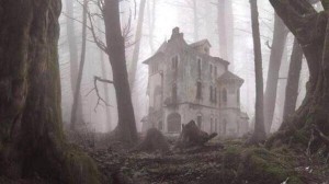 Abandoned House