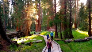 Erika blog photo final