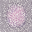 NatureBrain
