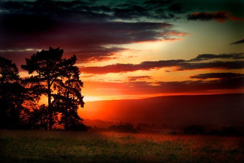 flat,550x550,075,f.u1